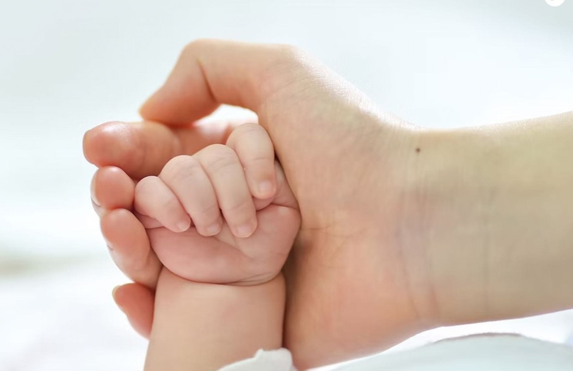 ����� �������� ������ ��� ������� ���� ��� �����